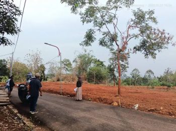 Tanah istimewa di kawasan wisata waduk Jatibarang Kandri Gunungpati