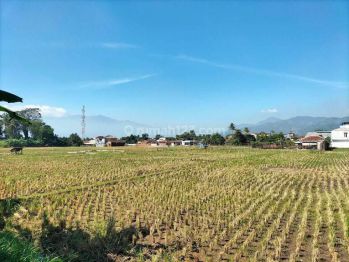 Jarang Ada kavling lokasi strategis sekali 300m dekat Pemkab