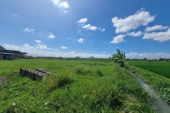 Land For Leasehold  in Cemagi Near Beach