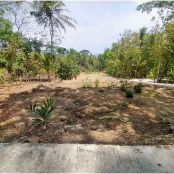 Tanah Dekat Bandara YIA di Jl. Nagung-Brosot Kulon Progo