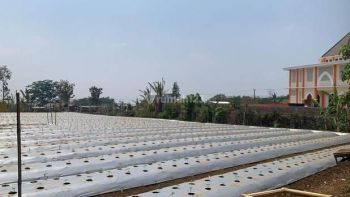 Tanah Harga Murah Akses Mudah Lokasi Strategis, Kota Malang