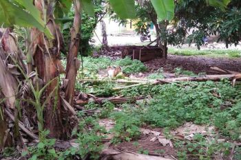 Tanah darat murah babelan bekasi utara