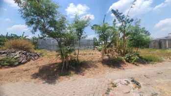 Tanah Premium Murah Di Mulawarman Tembalang Semarang Dekat Undip