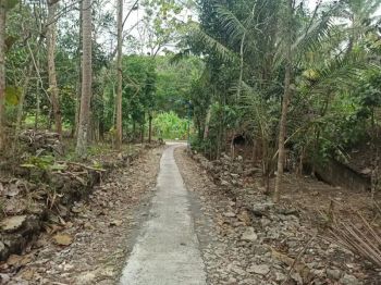 Tanah Brongkol Sedayu 1496m