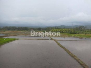 Tanah dengan luas 64 Are berlokasi dekat dengan pantai di Desa Pangyangan Bao