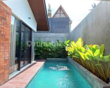 Brand New Villa Ubud Area Lodtunduh