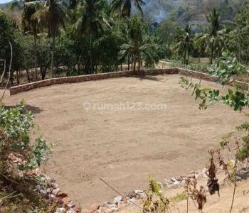 Sale Tanah: TANAH KUTA LOMBOK