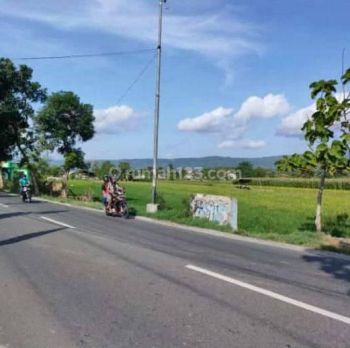 Jual Tanah Cocok Untuk Usaha Luas 500m Area Pleret Bantul Jogja