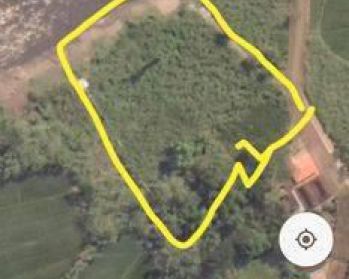 Sale Tanah: tanah sragen