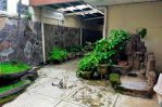 thumbnail-rumah-heritage-di-area-riau-martadinata-shm-5