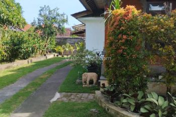 Disewakan rumah dekat ke pantai sanur,