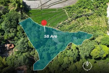 Tanah 58 Are dengan Pemandangan Sawah di Canggu