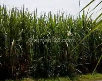 Tanah murah di Kediri untuk perumahan