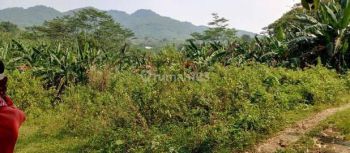 Dijual Tanah SHM 33.000 m² Cocok Buat Kawasan Wisata Harga Nego