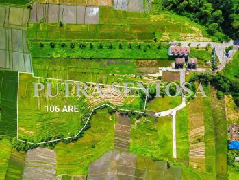Tanah Pantai Kedungu Beraban Tanah Lot Full View Sawah
