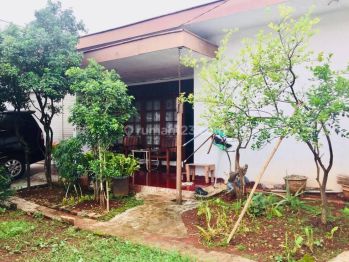 Rumah Siap Huni Lokasi Strategis dengan Halaman Luas @Ulujami