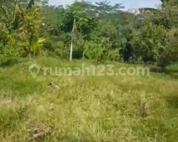 Dijual Kebun Durian Lokasi Mojosongo Boyolali luas 7400 Meter