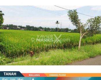 Tanah Luas Sejuk Tengah Sawah Gunung Di Karangploso Malang Bp1185