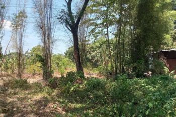 D jual tanah pingir jalan