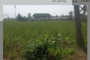 Tanah murah Cocok Untuk Pertanian di Pakisaji Malang