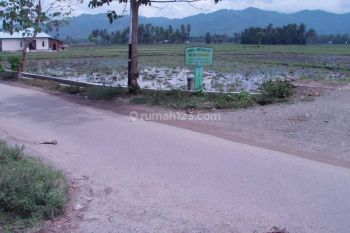 Tanah di Jl.kesehatan Raya , Bone Bolango 3 Ha