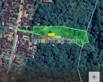 HOT LIST TERMURAH DI KELASNYA DI JUAL TANAH LOKASI KEDISAN TEGALLALANG UBUD