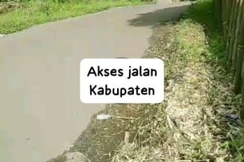 Di Juall Tanah Kebun Dan Sawah Murah Luas 14.000 Meter Pinggir Jalan Kabupaten