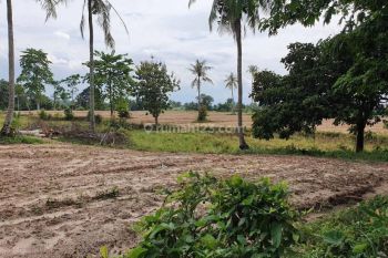 Di Jual Tanah SHM di Sayap Airport Raden Inten Lampung