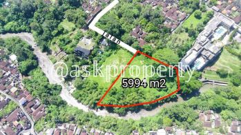 DIJUAL TANAH PINGGIR SUNGAI WOS LINGKUNGAN HOTEL/VILLA UBUD BALI