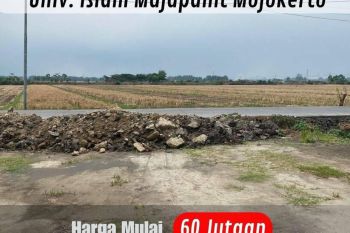 Kavlingan Murah Dijual Dekat Kantor Kecamatan Mojoanyar SHM Per-Unit