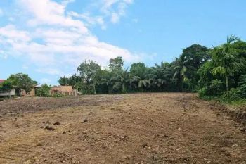 Jual Tanah talang bakung SHM