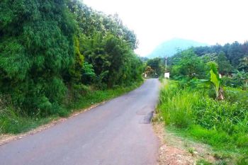 Tanah Sentul Murah Hanya 3,5 Jt Dekat Taman Wisata Alam Gunung Pancar