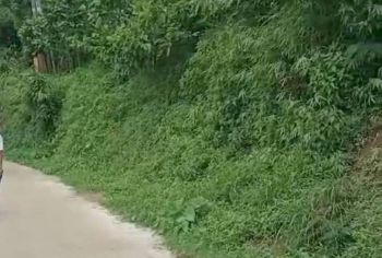 Dijual tanah kebun durian dekat rumah penduduk Wonosalam, Jombang