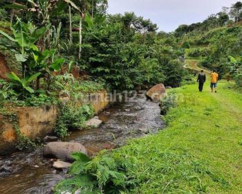 Suasan asri dan villa kayu 2km dari jalan raya puncak