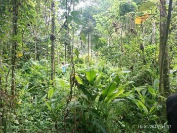 Tanah Kebun Istimewa dekat Warga Malang Raya