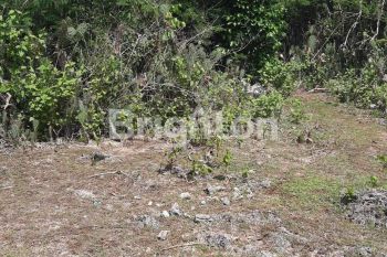 TANAH /DIKONTRAKKAN DI GAYANG SARI MUMBUL