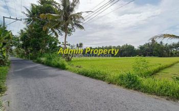 Kawasan Kampus Umy, Tanah Murah Sertifikat SHM Hanya 500 Juta