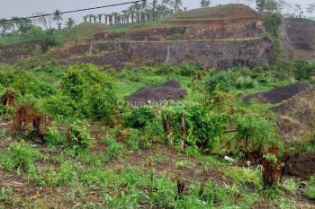 DI JUAL MURAH  TANAH JL.TRANS SUMATRA BAKAUHENI LAMPUNG SELATAN