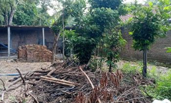 Disewakan Rumah Selatan Pabrik Sampoerna Jogjakarta(KODE DR.844)