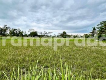 Dijual Tanah 1119m2 Pemandangan Bagus Sawah Dekat Ubud Central