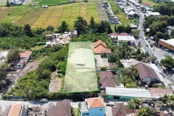 Tanah di Jantuk Angsa Pererenan Canggu