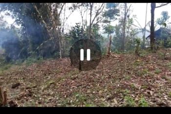 Dijual tanah kebun di kampung Wonosalam, Jombang