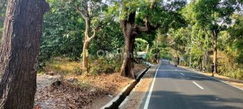 Tanah Strategis Harga Murah Di Pangeran Kejaksan Talun, Cirebon