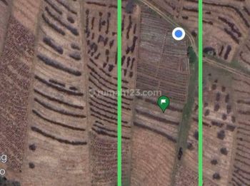 Ta Tanah di Selemadeg 31,5 are