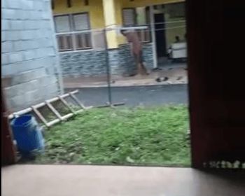 Dijual Tanah dan Rumah di Nongkosawit Gunungpati