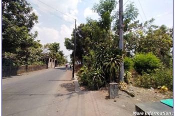 Jual Tanah Tirtomartani Dekat Candi Sari