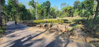 Pekarangan Strategis Mangku Aspal di Manisrenggo, Klaten