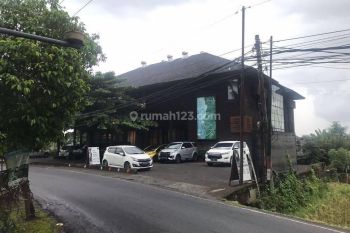 Jual Tanah Ubud Bali Nol Jalan Cocok Hotel villa Caffee