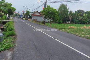 Dikontrakan tanah dipinggir jalan raya waribang kesiman denpasar