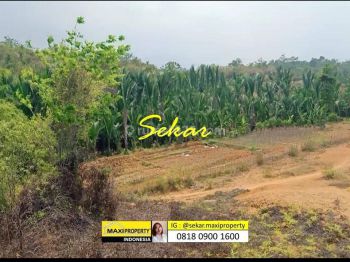 Jual Cepat Tanah 50 Hektar di Labuan Cocok Bangun Perumahaan